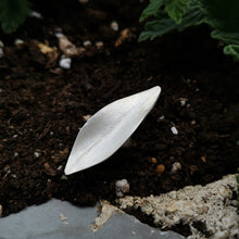 Χειροποίητο Δαχτυλίδι σε σχήμα φύλλου Leaf (ασήμι) - 1